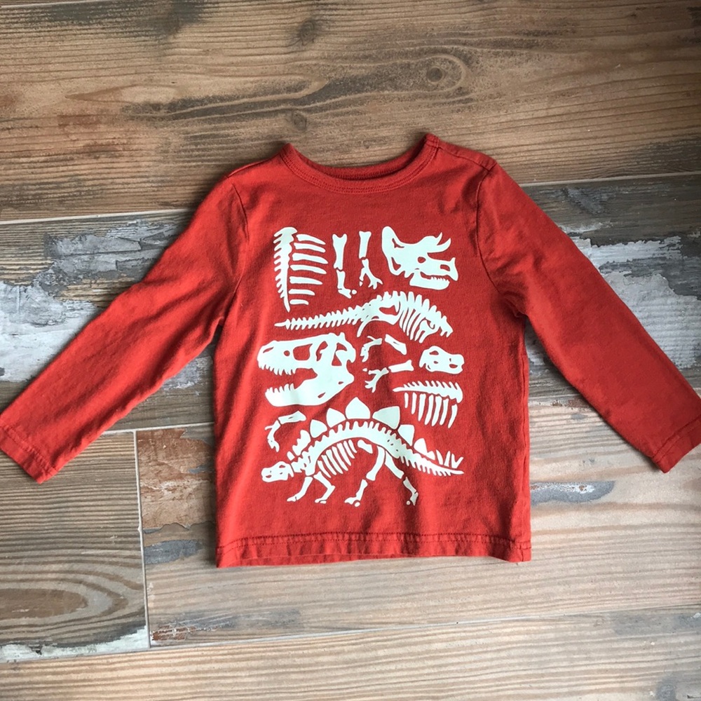 Dino long sleeve T-shirt